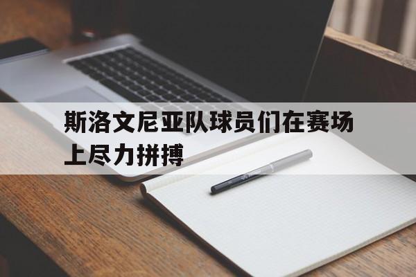 斯洛文尼亚队球员们在赛场上尽力拼搏的简单介绍